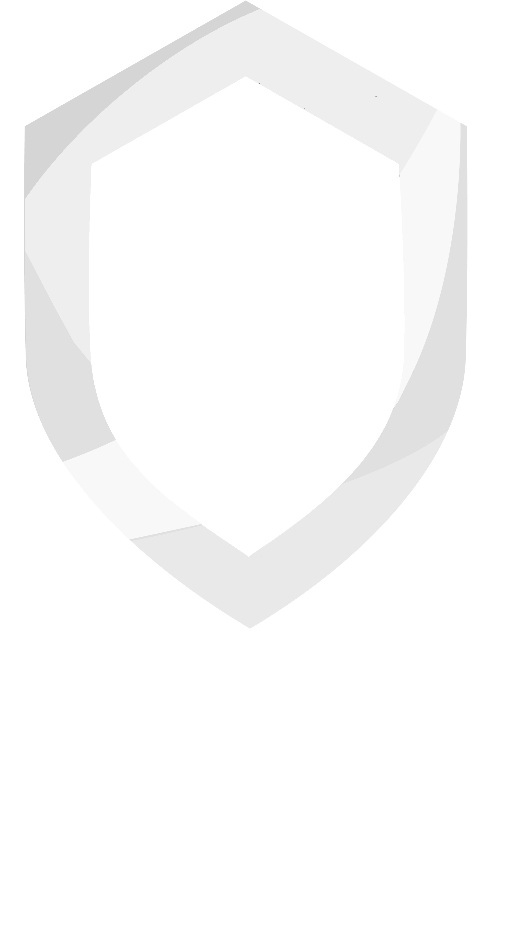 Boreal Security logo