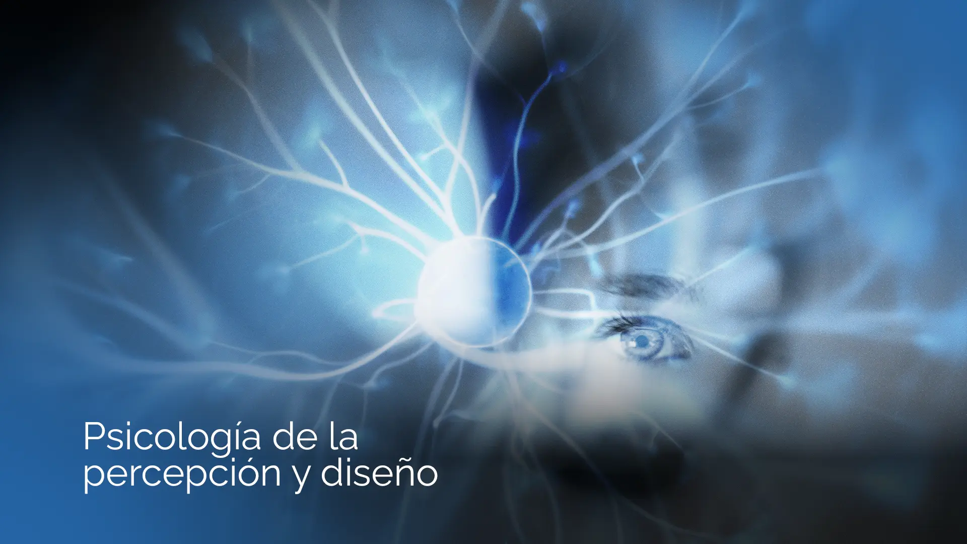 Imagen del post