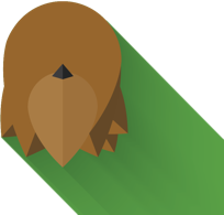 chewbacca-avatar